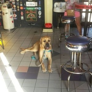 Meet your Posher, Richard